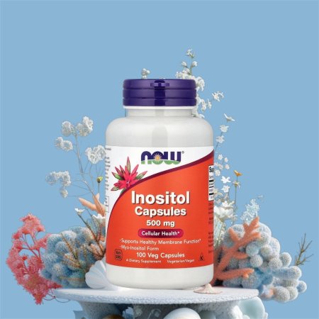 دعم الخصوبة للنساء،كبسولات اينوزيتول، 500 ملجم ، 100 كبسولة نباتية، Inositol Capsules 500 mg