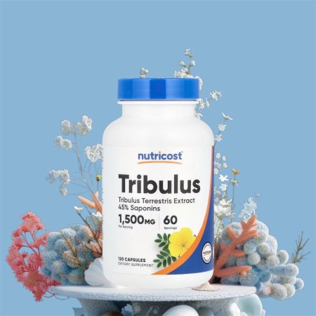 نبات القرطب، 120 كبسولة، (750 ملجم لكل كبسولة)، Tribulus