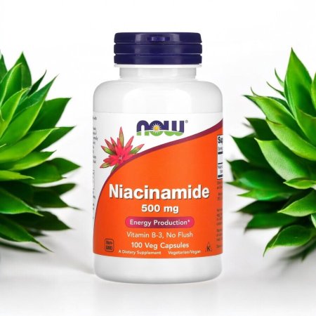 نياسناميد، 500 ملجم، 100 كبسولة نباتية، Niacinamide 500 mg