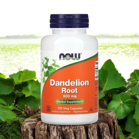 جذور الهندباء البرية، 500 ملجم، 100 كبسولة نباتية، Dandelion Root