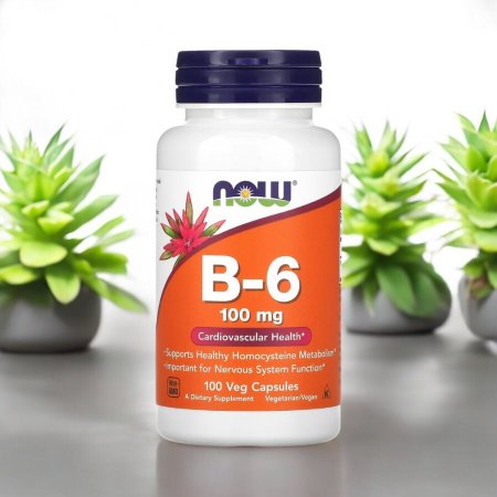 فيتامين ب6، 100 ملجم، 100 كبسولة نباتية، B 6 100 mg، مكملات ناو فودز في فلسطين
