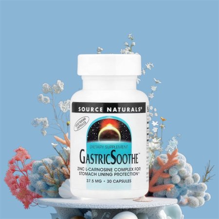 زنك ل كارنوزين حماية بطانة المعدة، 30 كبسولة نباتية، GastrlcSoothe