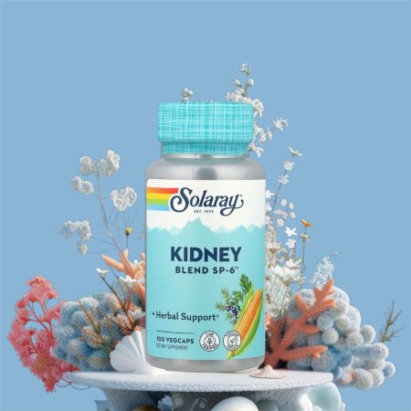 مزيج فيتامينsp-6 للكليتين مكملات سولاراي في فلسطين، 100 كبسولة نباتية، Kidney Solaray