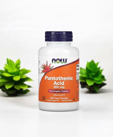 حمض البانتوثنيك، 500 ملجم ، 100 كبسولة نباتية، Pantothenic Acid 500 mg، B 5 ، فيتامينات واعشاب في فلسطين